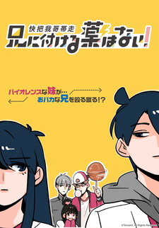     ! / Ani ni Tsukeru Kusuri wa Nai!