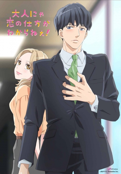   ,  ! / Otona nya Koi no Shikata ga Wakaranee!